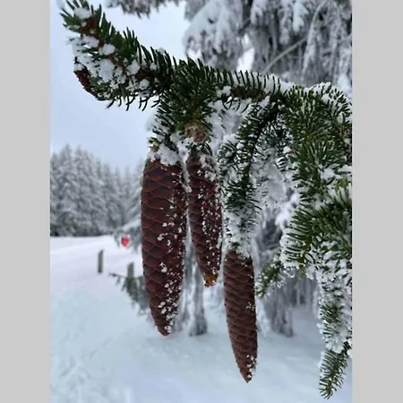 公寓 Zeit Fuer Dich Am Bergelchen,