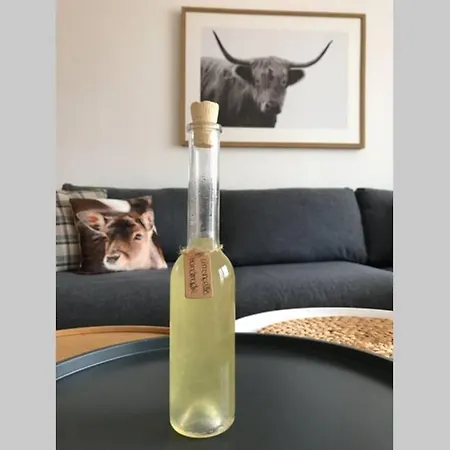 Zeit Fuer Dich Am Bergelchen, 公寓 温特贝格