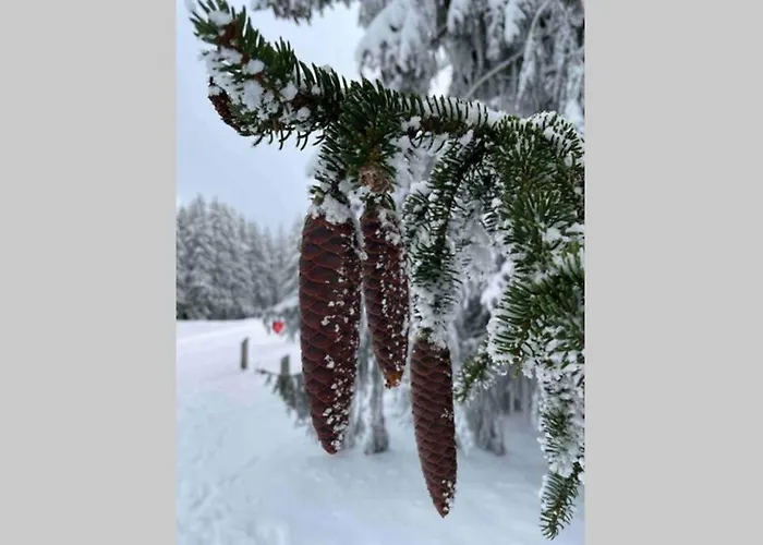 Apartment Zeit Fuer Dich Am Bergelchen,